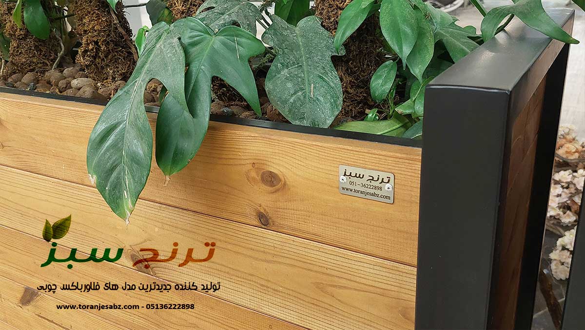لوگو صنایع ترنج سبز بر روی فلاور باکس ترمو وود
