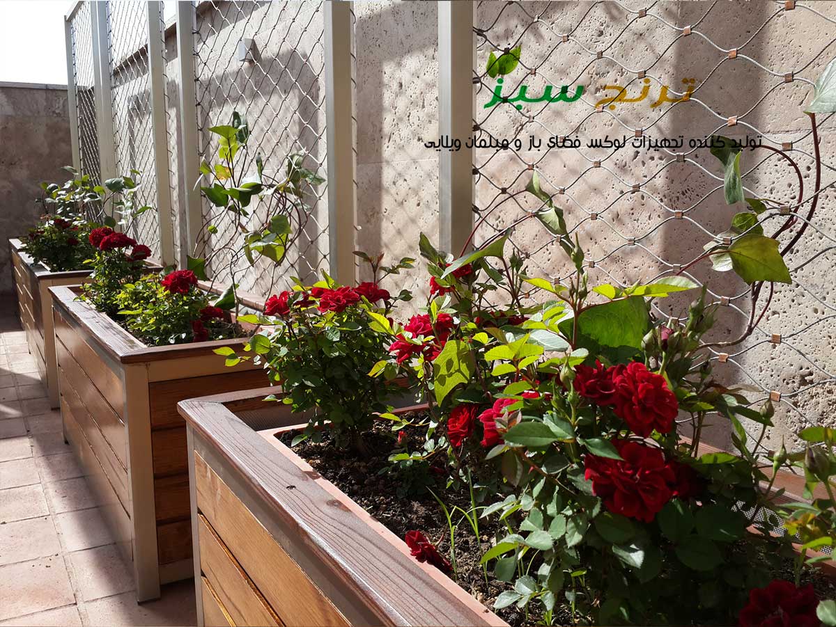 گیاهان دیوار سبز کابلی برای کاشت در پشت بام و روفگاردن