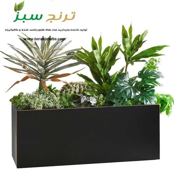 جدیدترین مدل های فلاور باکس در سال 2026