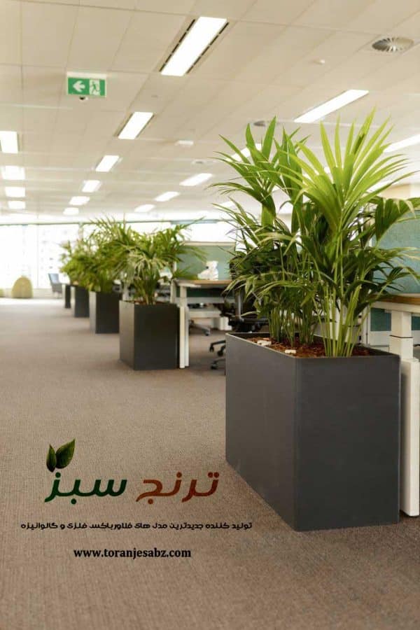 گلدان فلاورباکس در داخل شرکت و سازمان