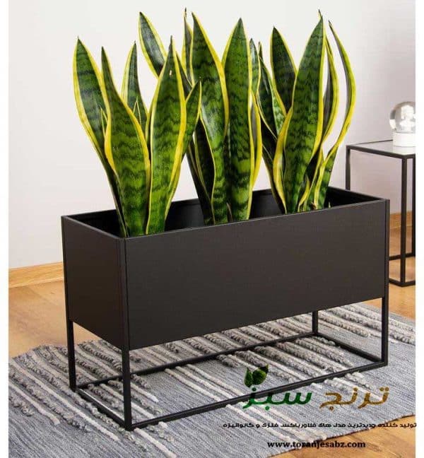 گلدان مستطیلی مدل جدید مشکی رنگ
